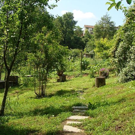 Appartamento In Monferrato Di Dominga Portacomaro 外观 照片