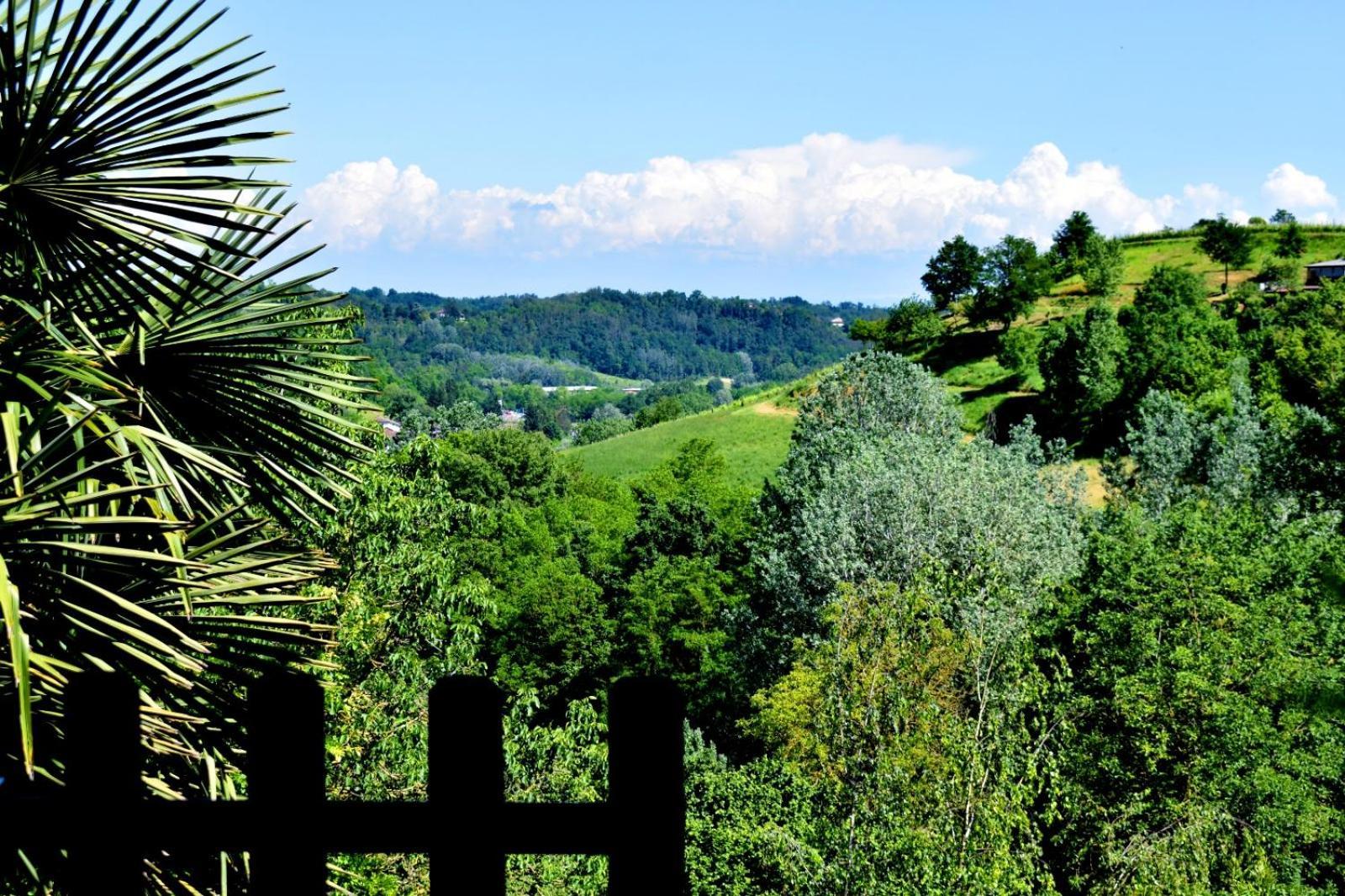 Appartamento In Monferrato Di Dominga Portacomaro 外观 照片