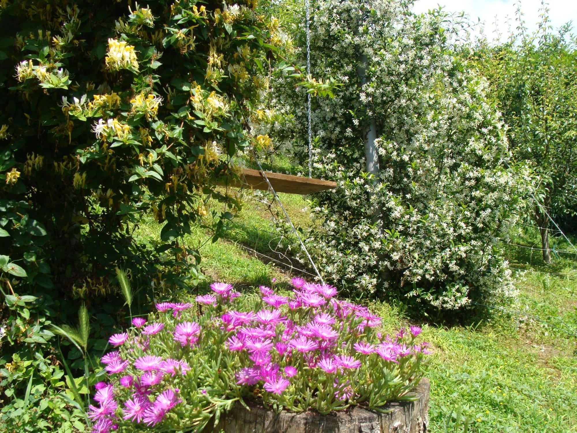 Appartamento In Monferrato Di Dominga Portacomaro 外观 照片