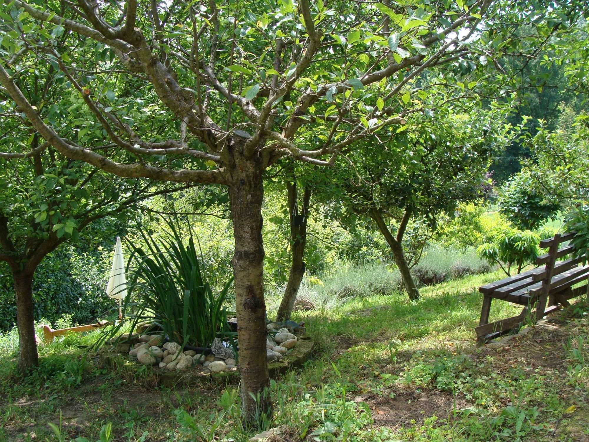 Appartamento In Monferrato Di Dominga Portacomaro 外观 照片