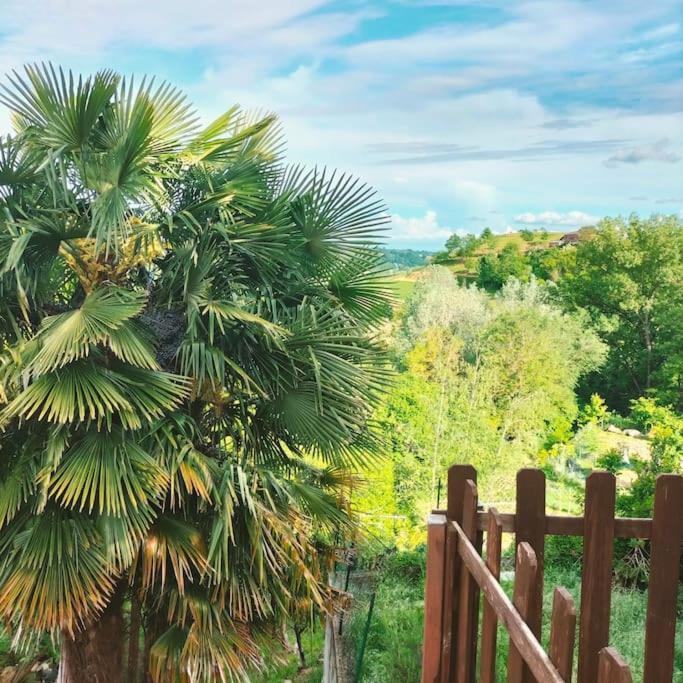Appartamento In Monferrato Di Dominga Portacomaro 外观 照片