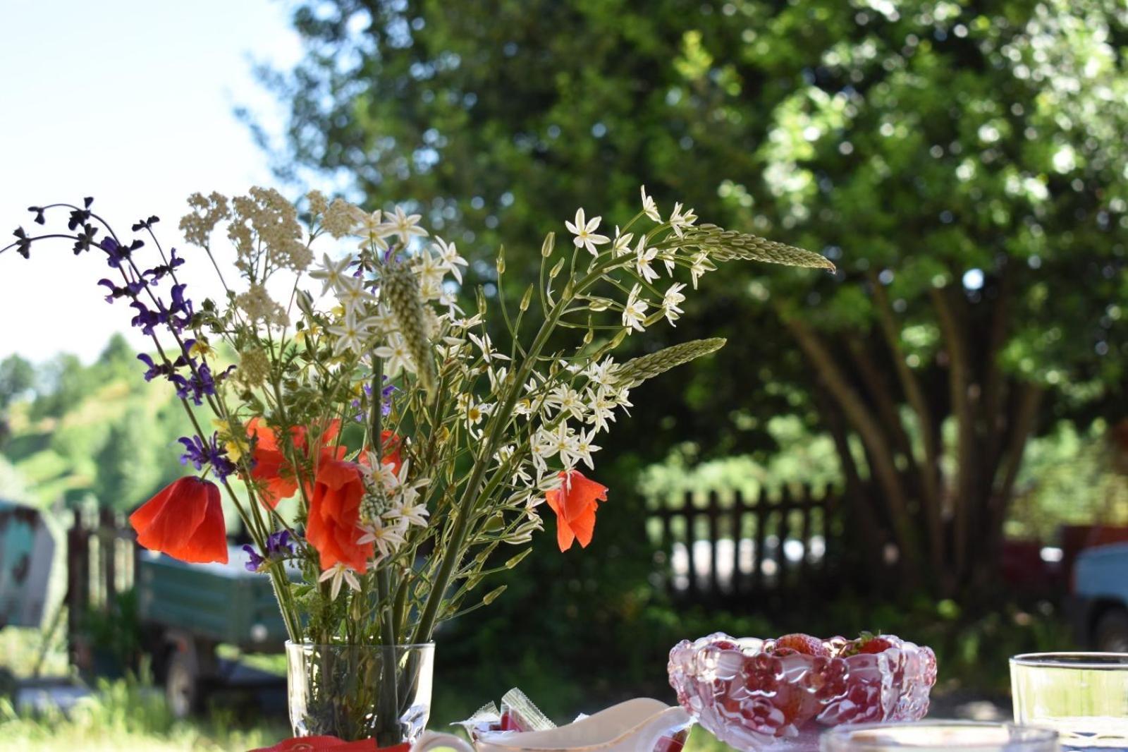 Appartamento In Monferrato Di Dominga Portacomaro 外观 照片